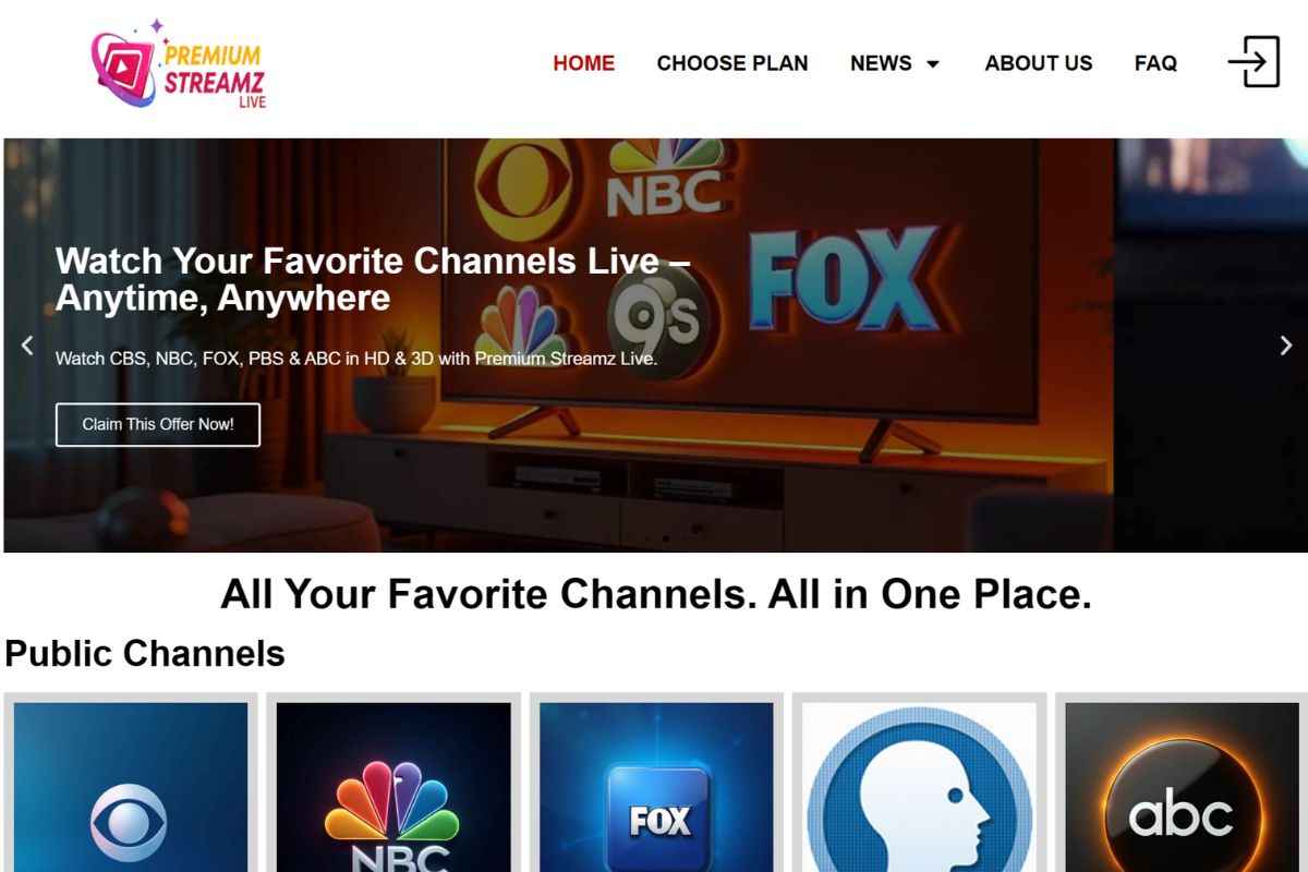 Streaming website development and SEO USA