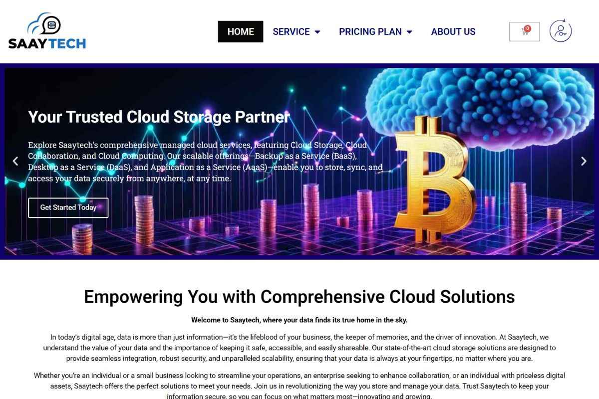 Business website design and SEO Illinois USA